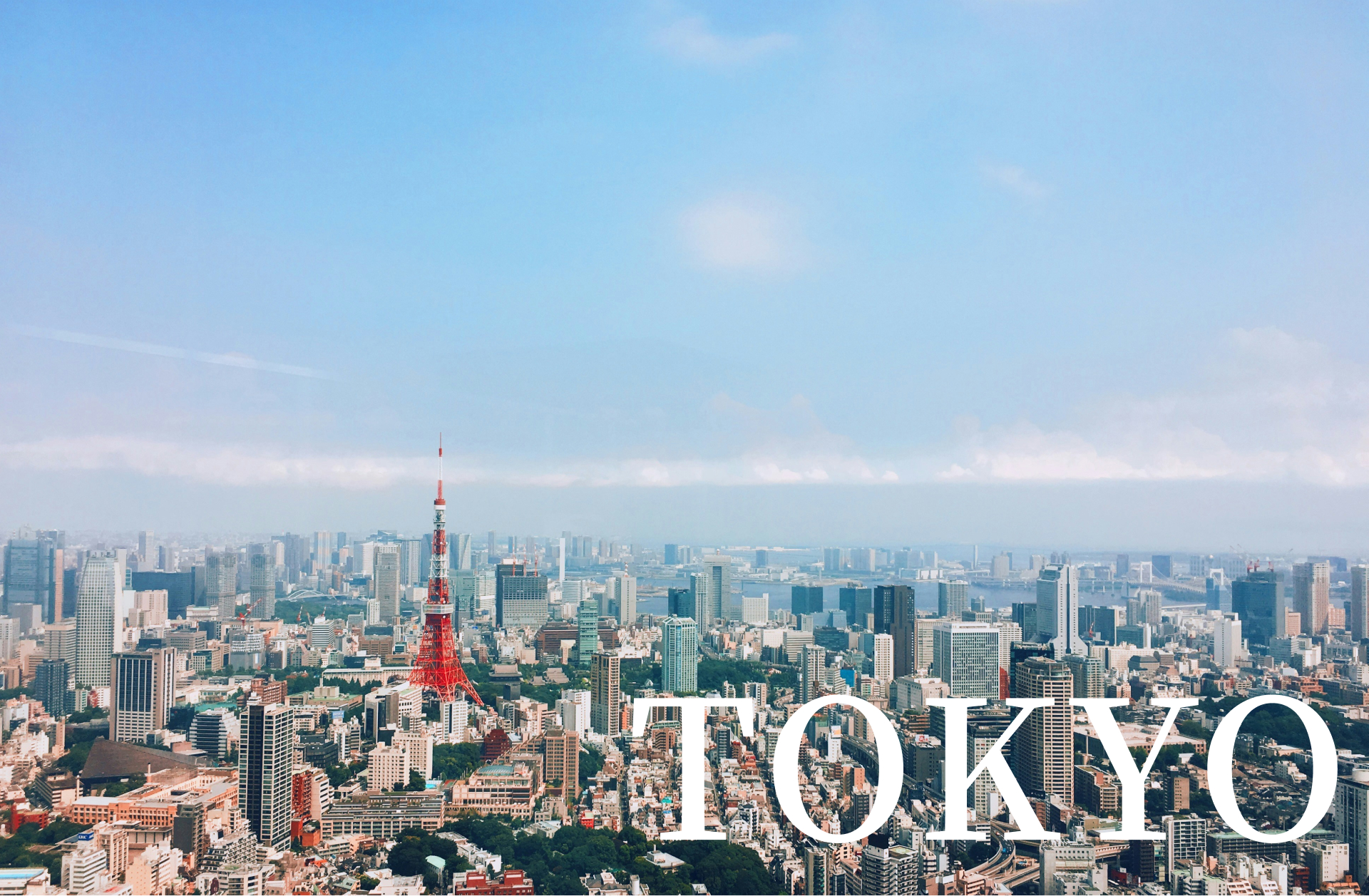 東京エリア